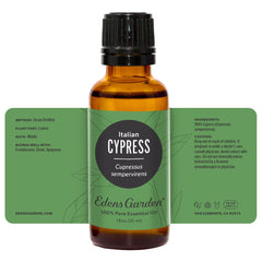 Edens Garden Cypress forest scene evoking Mediterranean calm and nature-inspired spaces.