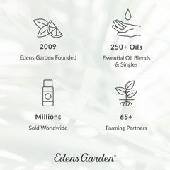 Edens Garden De-Stress Joy bottle close-up highlighting a pure scent for mood support.