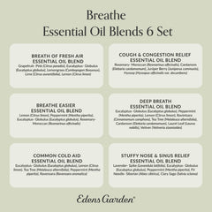 Edens Garden diffuser setup in a cozy living space.