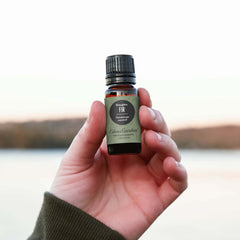 Edens Garden Fir-Douglas diffuser releasing a woodsy aroma