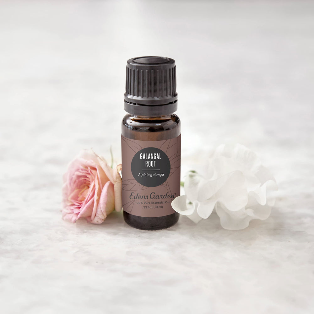 Edens Garden Galangal Root diffuser blend with warming notes