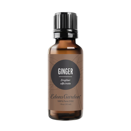 Edens Garden Ginger CO2 essential oil bottle front view for aroma diffusion to uplift mood
