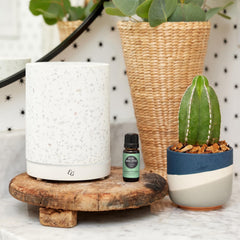Edens Garden Good Night blend bottle emitting soothing scent