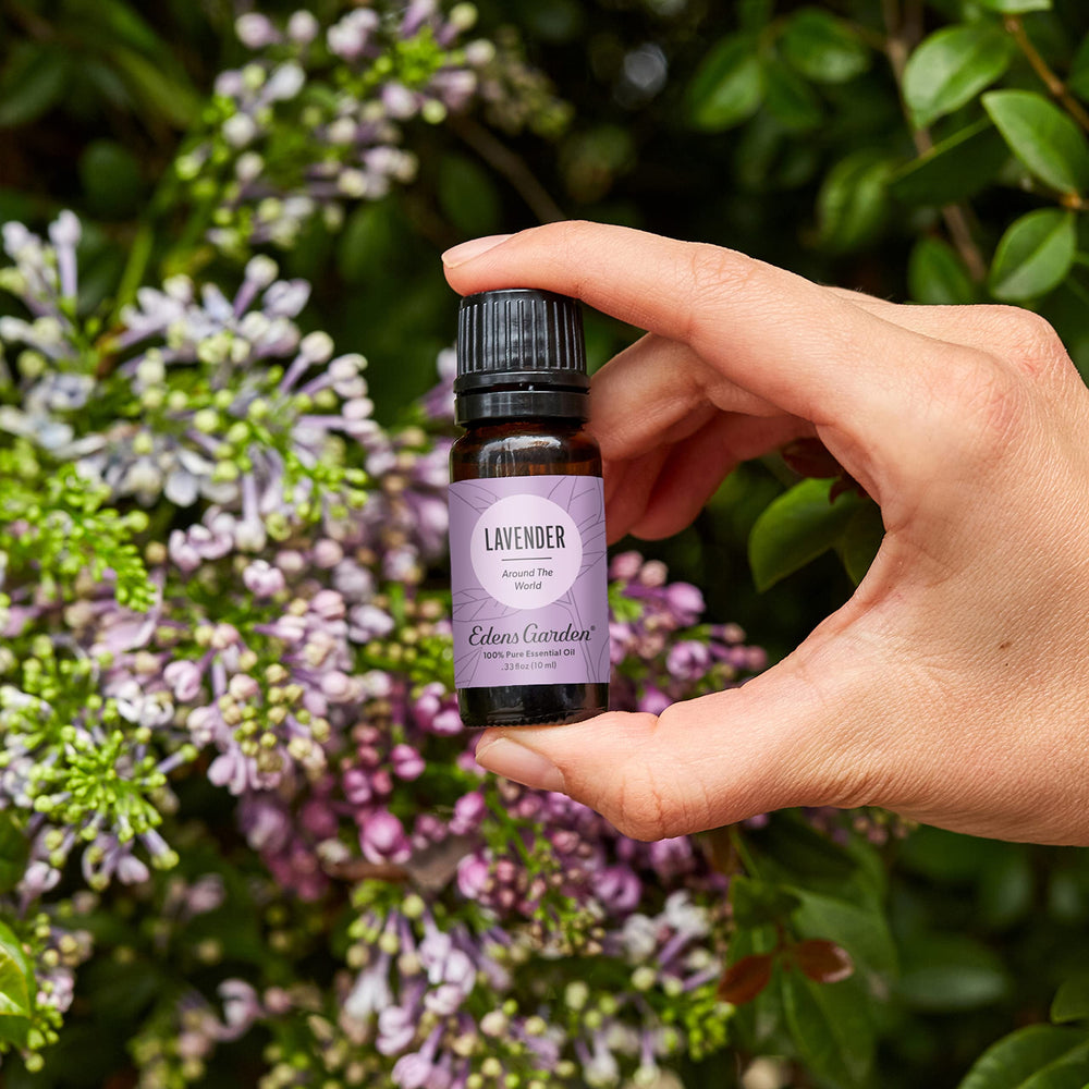 Edens Garden Lavender Around The World diffuser setup promotes calming spaces