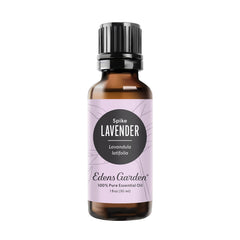 Edens Garden Lavender-Spike bottle pour for calming aromatherapy sessions.