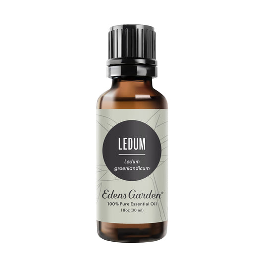 Edens Garden Ledum essential oil bottle with label for grounding aromatherapy use