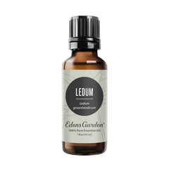 Edens Garden Ledum essential oil bottle with label for grounding aromatherapy use