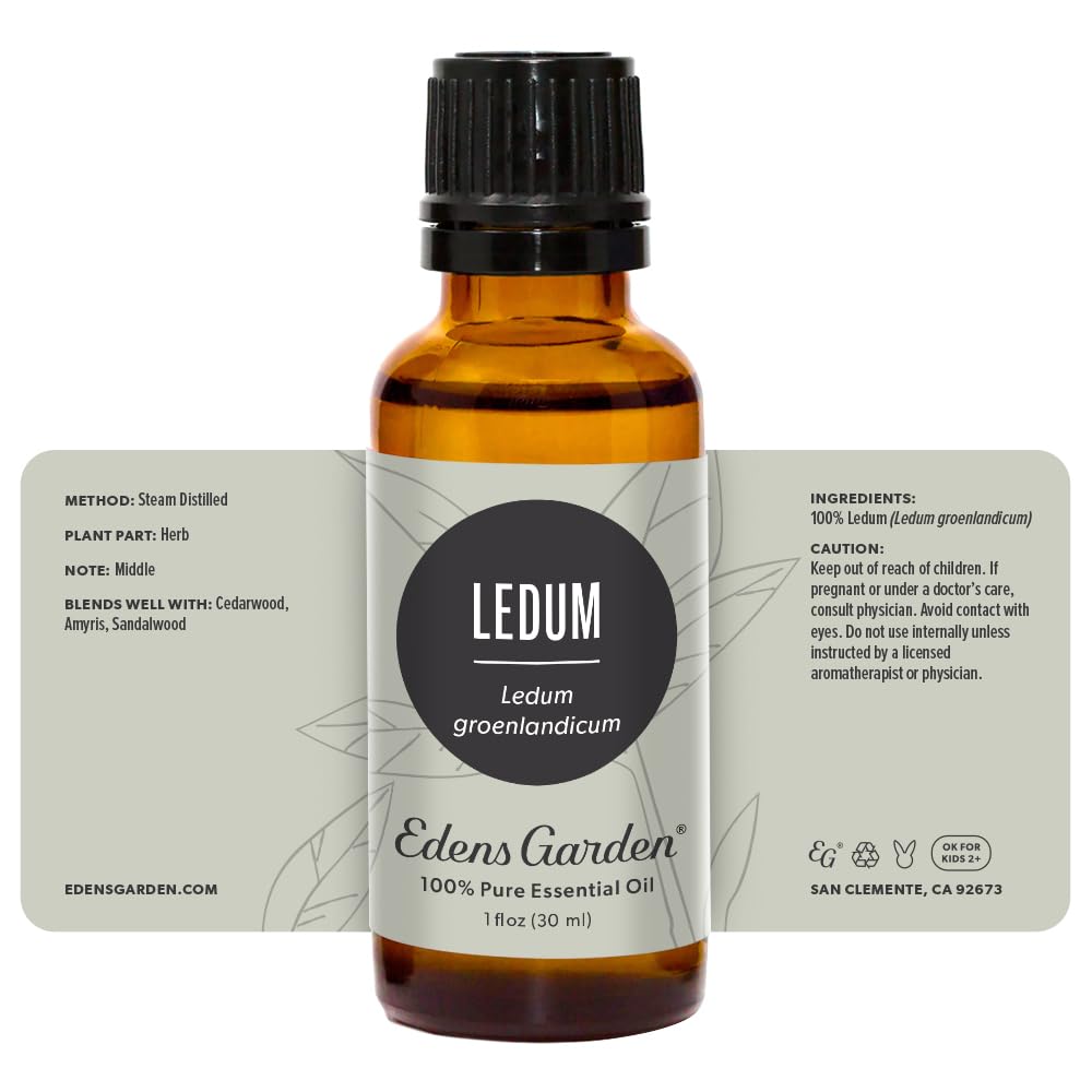 Relaxing spa scene featuring Ledum oil in humidifier or diffuser