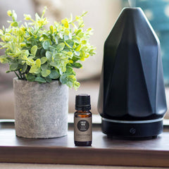 Linaloe Wood diffuser scene for serene workspace with Edens Garden.
