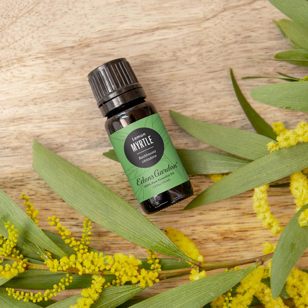 Edens Garden Myrtle-Lemon diffuser blend beside candles for uplifting citrus ambiance