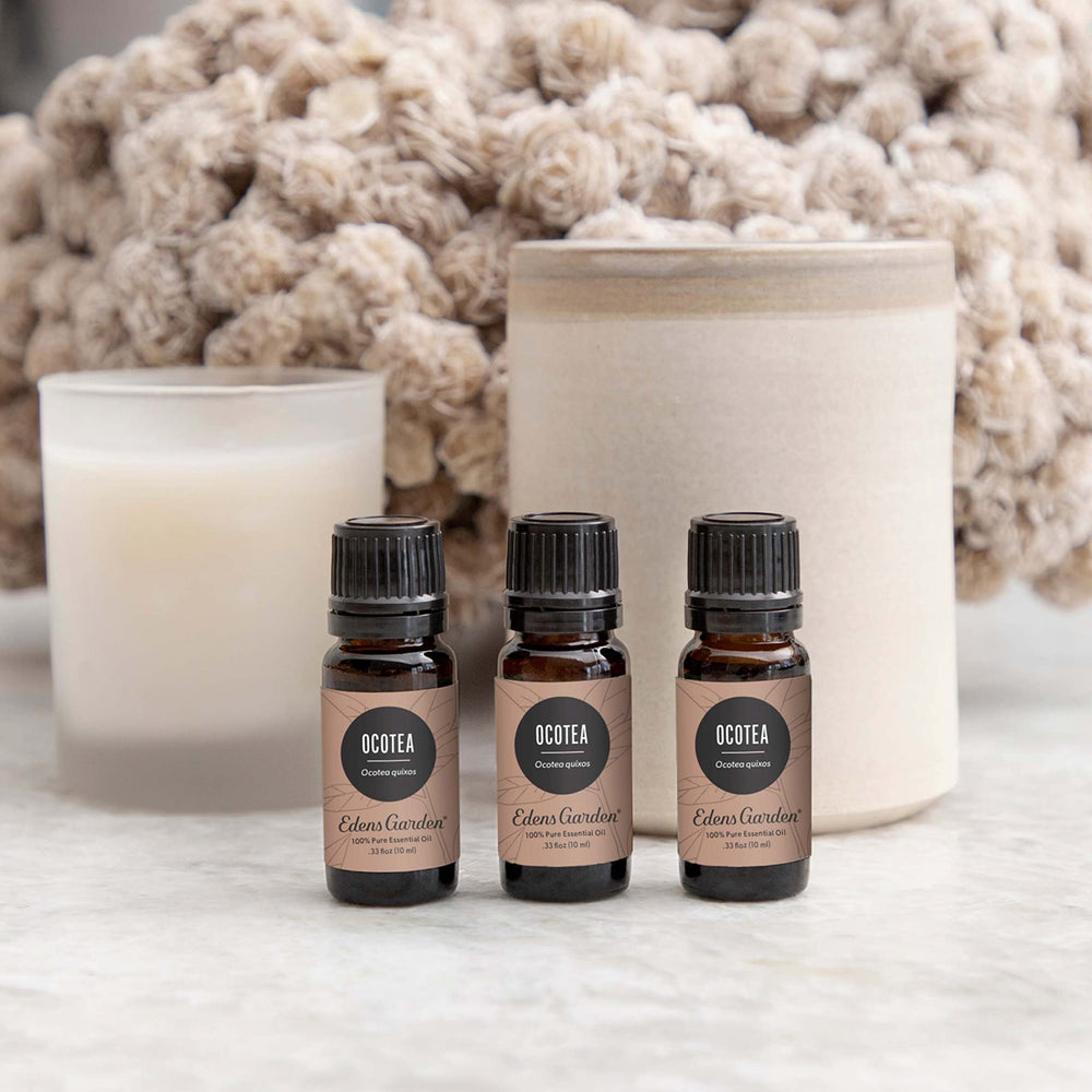 Edens Garden Ocotea diffuser-ready blend ready to fill a room with warmth.