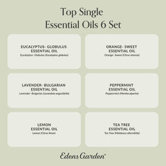 Edens Garden six pack set ready for daily aromatherapy routines.