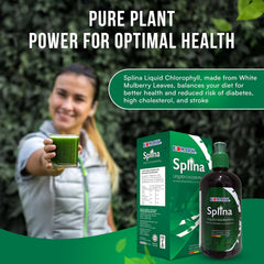 Chlorophyll bottle label and 500ml capacity