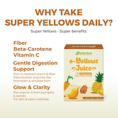 eHerbal on-the-go packs arranged for portable hydration and fiber support