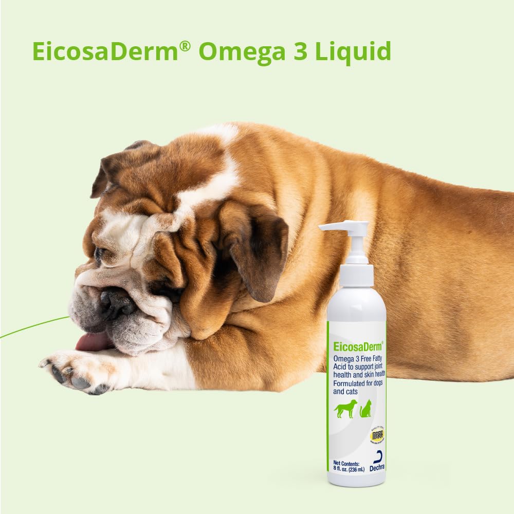 EicosaDerm Omega 3 Liquid bottle shown during mealtime for skin support