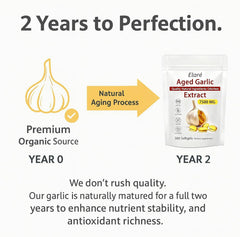 Elare 2-year matured garlic capsules display premium extraction.