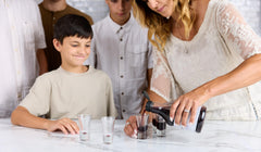 Elderberry Queen black elderberry berries show rich fruit source for flavor.