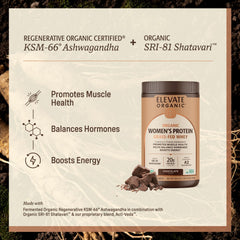 Chocolate whey protein bottle with shaker showing rich flavor for quick nourishment.