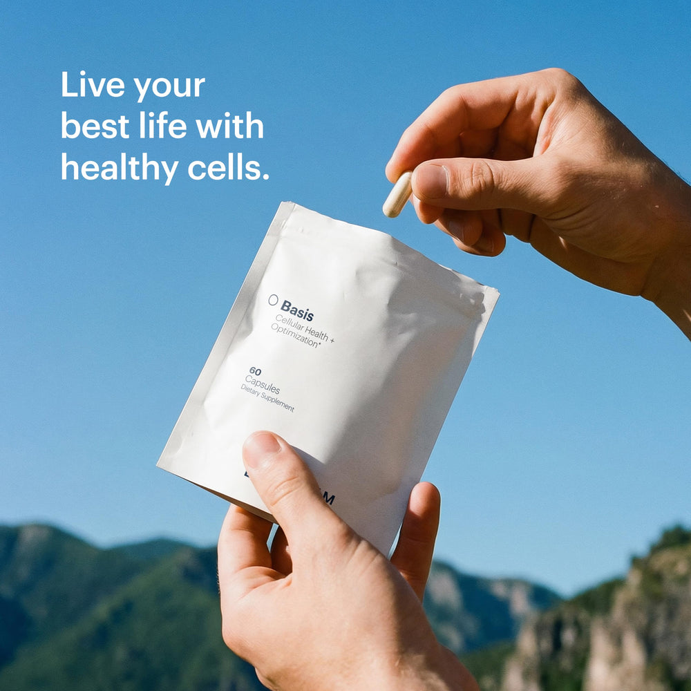 ELY-SIUM Basis NAD Plus close-up ingredients list for transparency