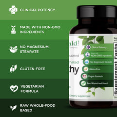 Emerald Labs B-Healthy lifestyle shot suggests daily wellness and focused energy