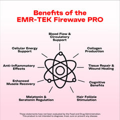 EMR-TEK Firewave Pro 300W rear ports for modular expansion