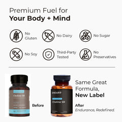 Endurance Choline capsules during daily routine suggesting steady energy and focus