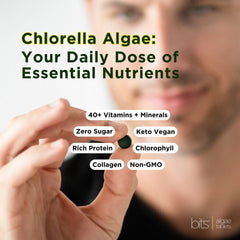 ENERGYBITS RECOVERYbits chlorella greens indicate natural detox potential.
