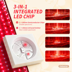 Eniosvar Red Light Therapy Belt worn on the body for hands-free, cordless therapy.