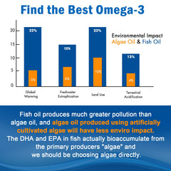 EnvyCure omega-3 gummies no fish taste aroma and clean finish