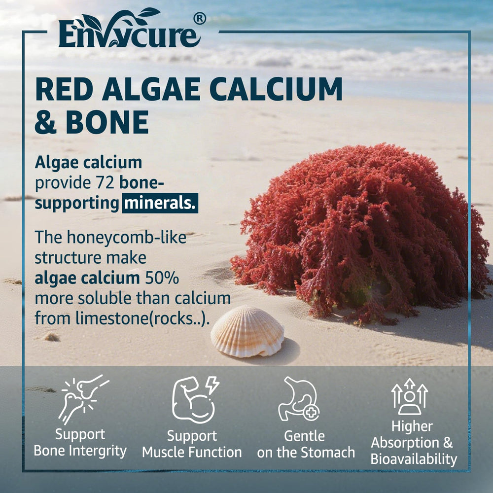 Close-up of 600mg calcium gummies showing dosage and texture.