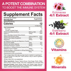 EnvyCure elderberry and echinacea gummies jar highlighting respiratory support benefits
