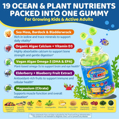 EnvyCure Sea Moss Elderberry Gummies bottle label with ingredients and benefits