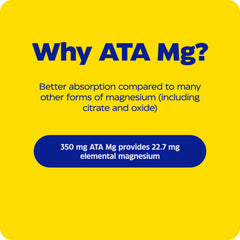 Enzymedica Magnesium Mind ATA Mg visual highlights brain absorption.
