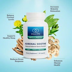 Equilife Ashwagandha L-Theanine capsules support calm focus during busy days