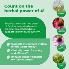 Esberitox Purple Coneflower illustration showcasing natural ingredients.