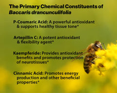 Fermented vegetable extract powder supports probiotic benefits in the mix.