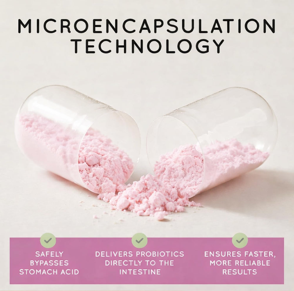 Essential Source Triactive Biotics cranberry illustration highlighting antioxidants.