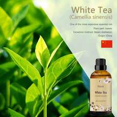 ESSLux White Tea Essential Oil designed for oil burners and relaxing atmospheres