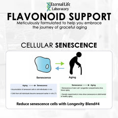 Capsules shown beside a minimalist health and longevity concept.