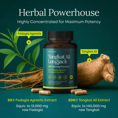 Etta Vita NAC inclusion label emphasizing antioxidant support and liver-friendly formulation.