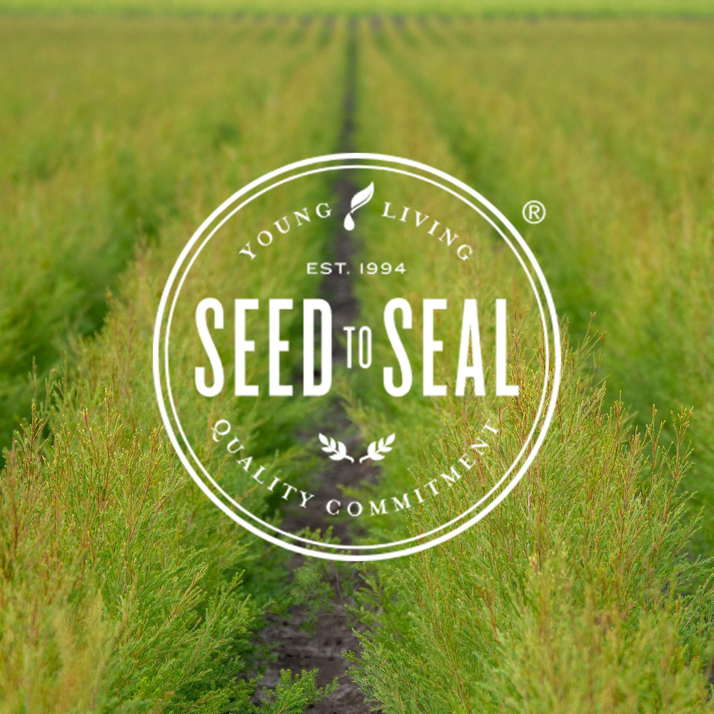 Young Living Eucalyptus Radiata ingredients showcase vegan, gluten-free status.