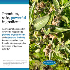 EuroMedica Ashwagandha Complex ingredients list highlights rhodiola and ashwagandha synergy.