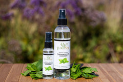 EuroSpa Aromatics steam shower mist dispensing menthol-infused scent.