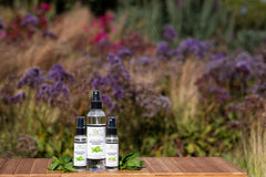 EuroSpa Aromatics travel-size compact packaging, convenient for on-the-go eucalyptus scent.