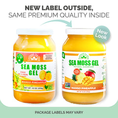 EverSmith Organics sea moss gel pour over glass showing smooth texture and versatility