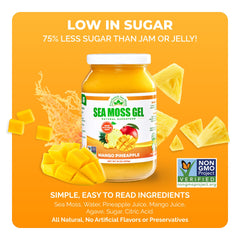 EverSmith Organics sea moss gel as soup thickener for heartier meals