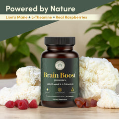 Ingredients panel highlights 10:1 Lion’s Mane extract for a potent nootropic blend.