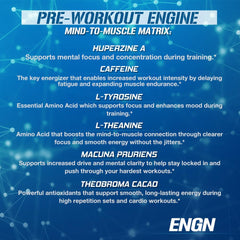 EVL ENGN creatine monohydrate powder close-up shows a key strength-support ingredient.