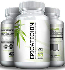 EVOGANICA Epicatechin capsules bottle displaying 350 mg per capsule.