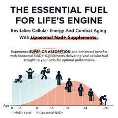 Closeup of Fabamax liposomal NAD+ softgels for convenient daily use.